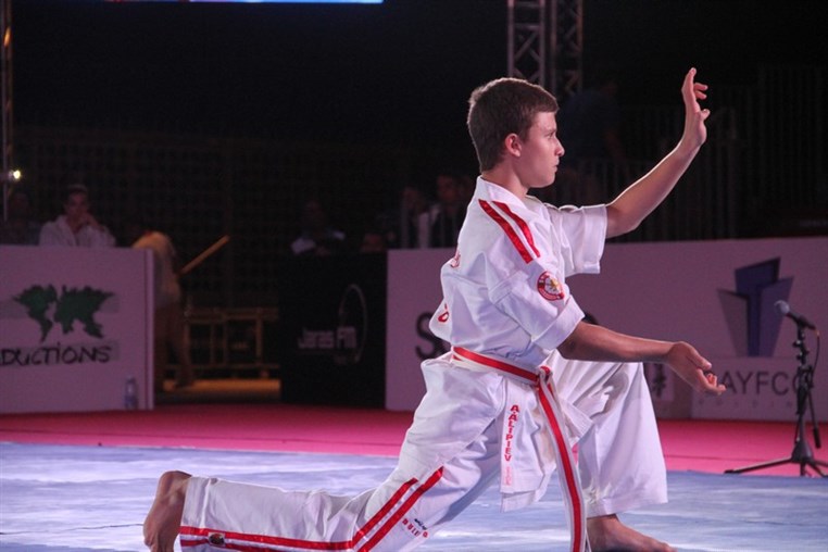 Martial Arts Festival